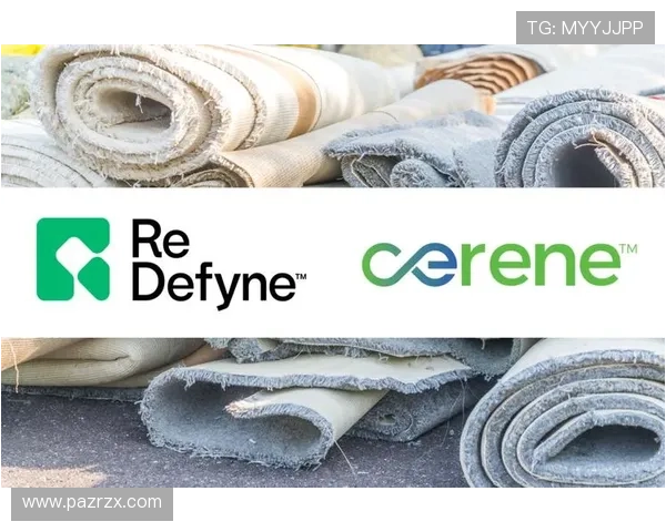 PA集团官网:探索PA集团在全球市场的布局与未来发展方向 PA集团官网:探索PA集团在全球市场的布局与未来发展方向