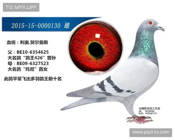 快捷注册指南：提高AG客户端会员注册成功率的实用技巧