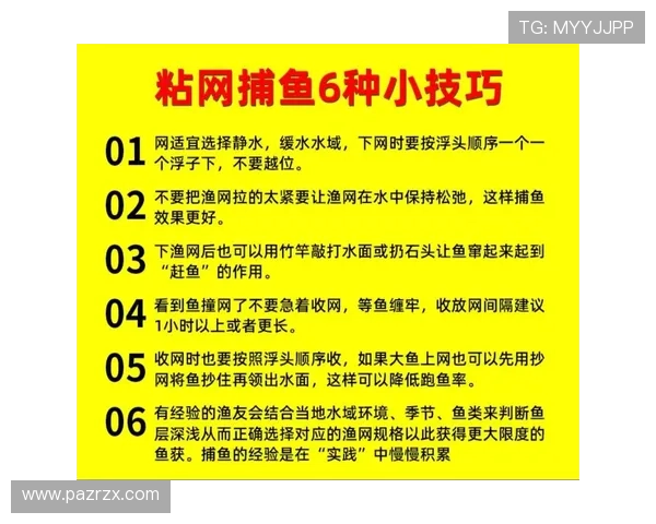 通过PA捕鱼网投获得稳定收益的秘诀与方法